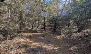 Terrain  1550 m² à vendre à Les Mathes (17570)