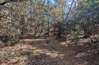 Terrain  616550 €