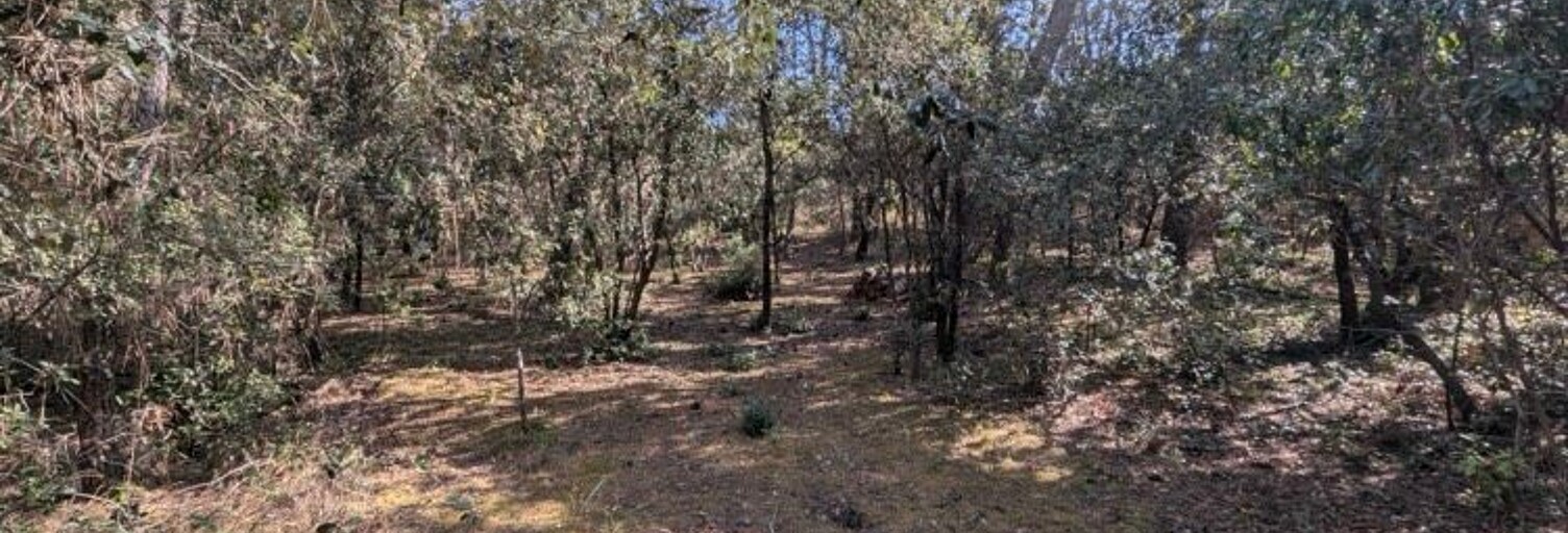 Terrain  1550 m² à vendre à Les Mathes (17570)