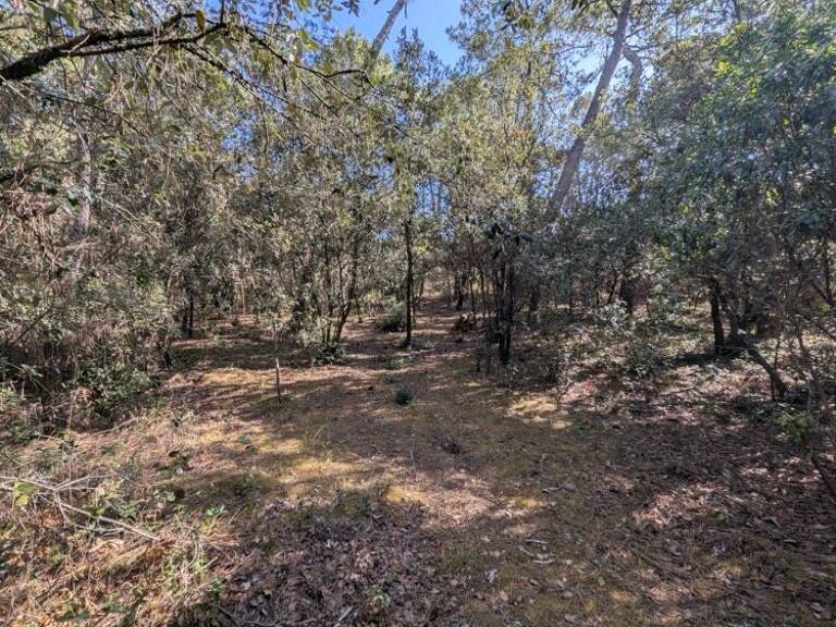 Terrain Constructible de 1550 m² à La Palmyre — photo 1