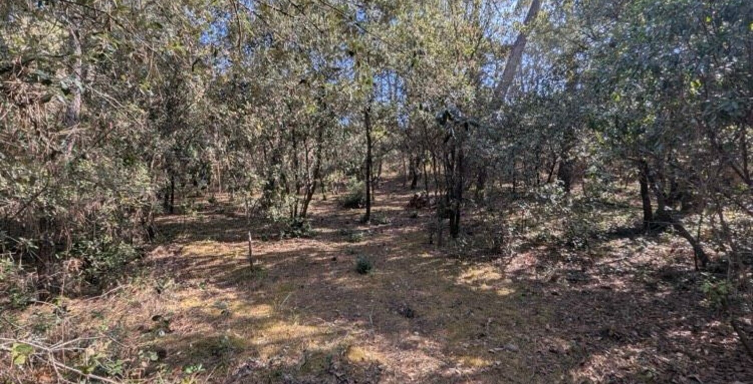 Terrain Constructible de 1550 m² à La Palmyre — photo 1
