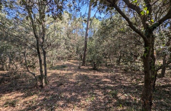 Terrain Constructible de 1550 m² à La Palmyre — photo 2