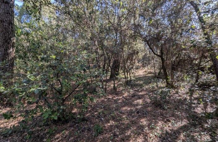 Terrain Constructible de 1550 m² à La Palmyre — photo 3
