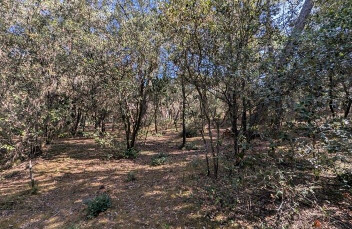 Terrain Constructible de 1550 m² à La Palmyre — photo 4