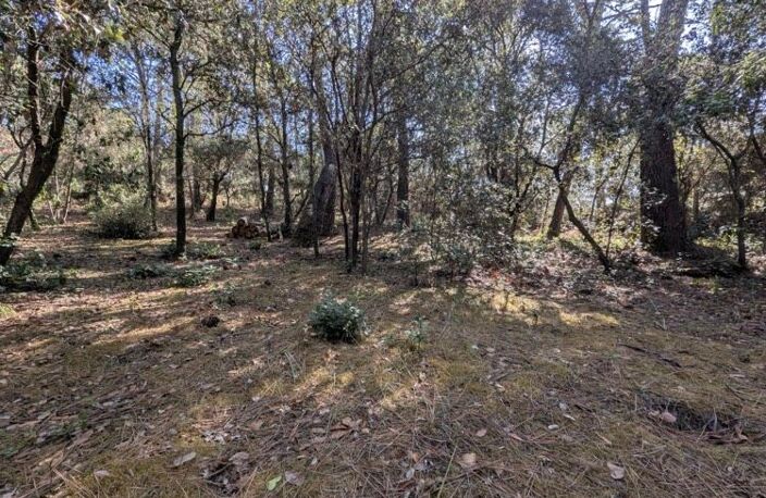 Terrain Constructible de 1550 m² à La Palmyre — photo 5