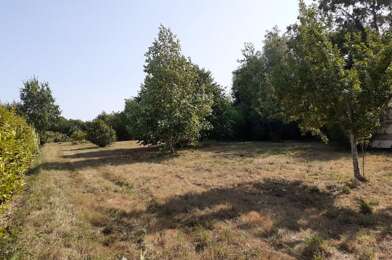 Terrain  99000 €