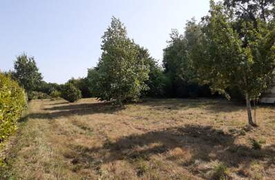 Terrain constructible 1200 m² à TELGRUC (29 560) Presqu'île de Crozon — photo du bien