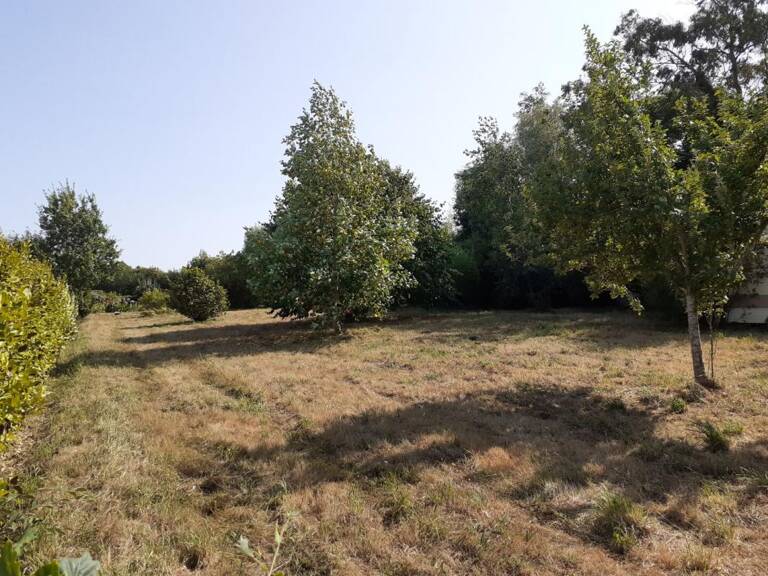 Terrain constructible 1200 m² à TELGRUC (29 560) Presqu'île de Crozon — photo 1