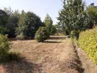 Terrain constructible 1200 m² à TELGRUC (29 560) Presqu'île de Crozon — photo 2