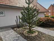 Villa d'exception de 216 m² | Prestations haut de gamme | Potentiel d'agrandissement de 108 m² — photo 4