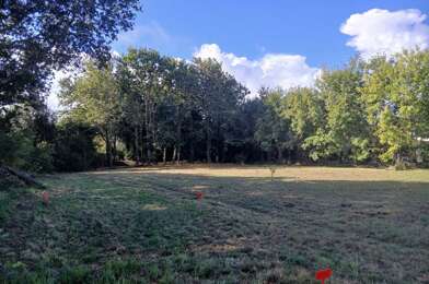 Terrain  312000 €