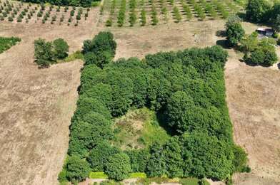 Terrain  59000 €