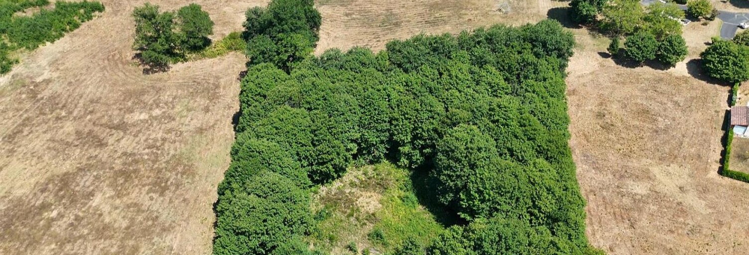 Terrain  4636 m² à vendre à Prats-de-Carlux (24370)