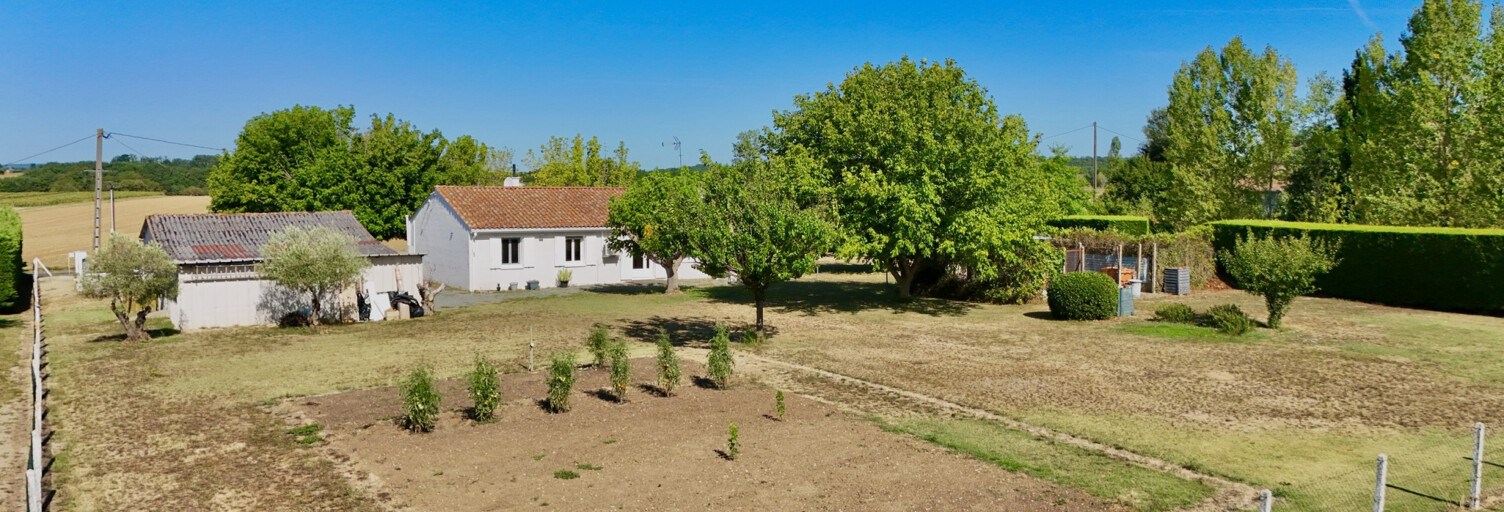 Photo N° 2