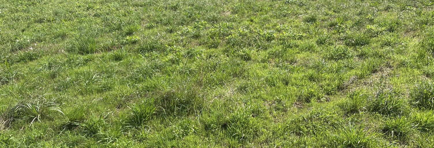 Terrain  513 m² à vendre à Arandon-Passins (38510)