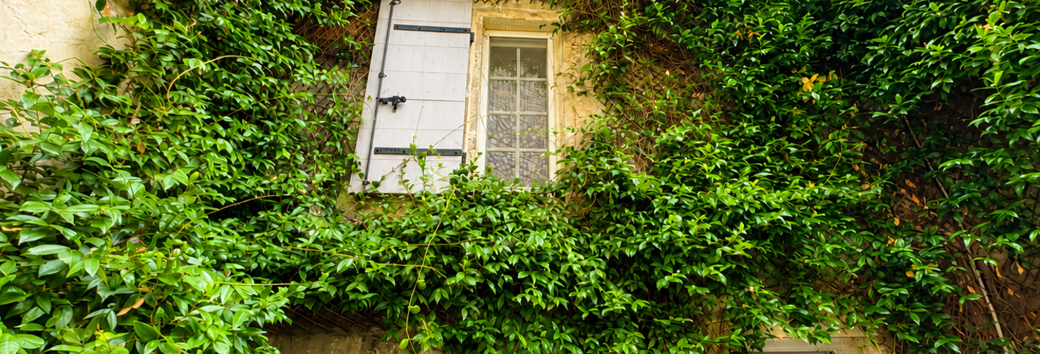 Maison 6 Pièces 143 m² à vendre à Boulbon (13150)