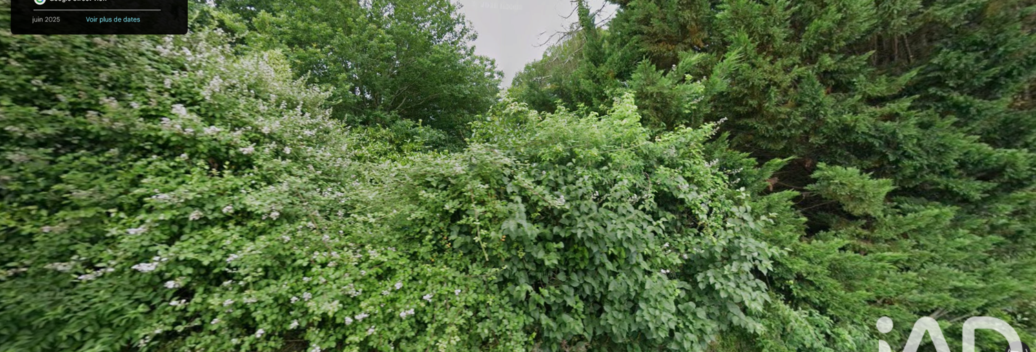Photo N° 2