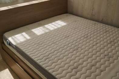 Appartement 1 pièces 510 €