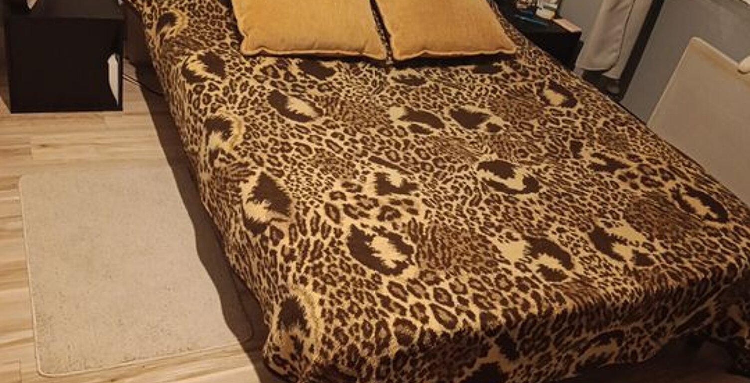Chambre de 10m2 à louer sur Saint-Maurice-de-Lignon — photo 1