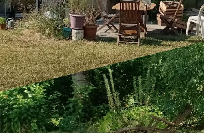 Chambre de 9m2 à louer sur Pleuven — photo 4