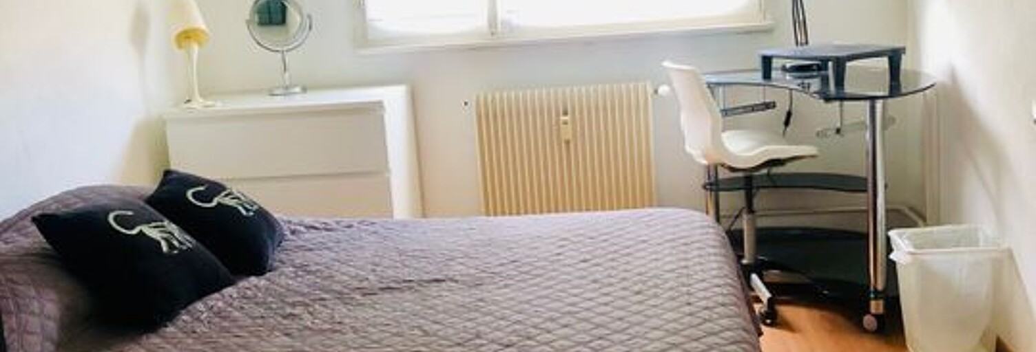 Appartement 1 Pièce 10 m² à louer à Hœnheim (67800)