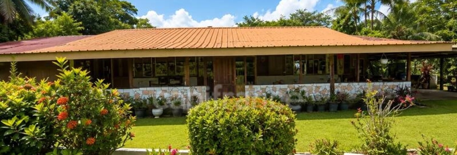 Maison 8 Pièces 197 m² à vendre à Montsinéry-Tonnegrande (97356)
