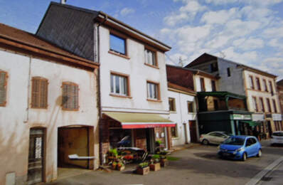 MOYENMOUTIER APPARTEMENT AVEC LOCAL COMMERCIAL — photo du bien