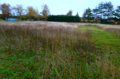 Terrain  23000 €