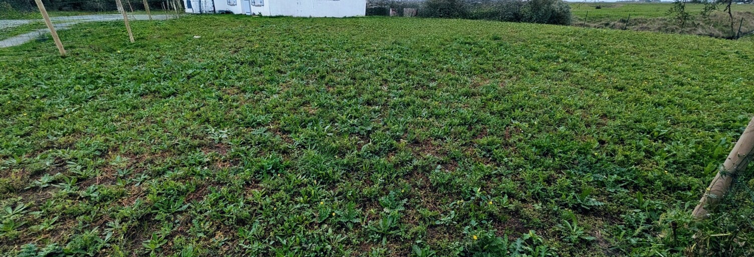 Maison 3 Pièces 60 m² à vendre à Bouin (85230)