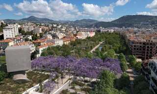 Commerce  80 m² à louer à Nice (06300)