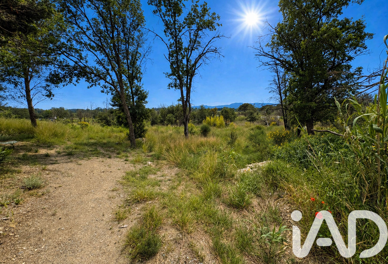 Vente Terrain 1 590 m&sup2; — photo 1