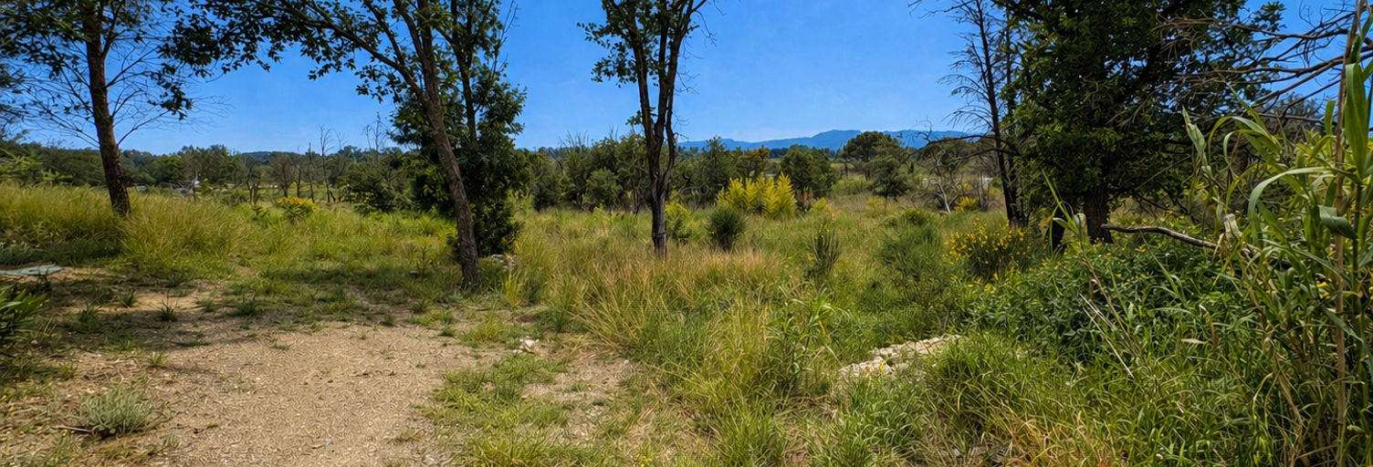 Terrain  1590 m² à vendre à Néfiach (66170)