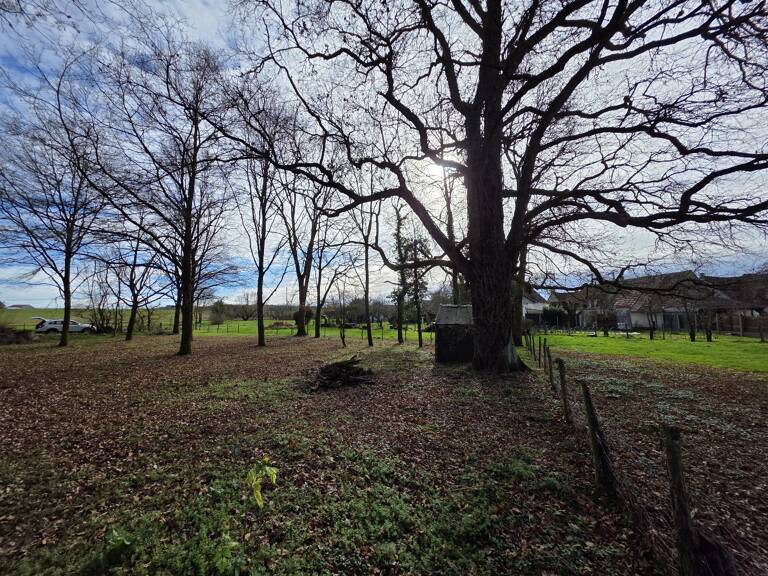 Terrain — photo 1