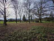 Terrain — photo 3
