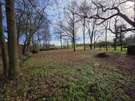 Terrain — photo 4