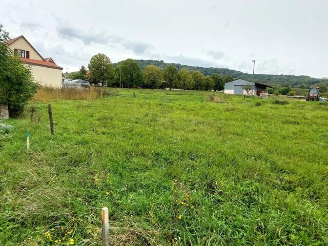 Beau terrain plat constructible de 4.93  ares — photo du bien