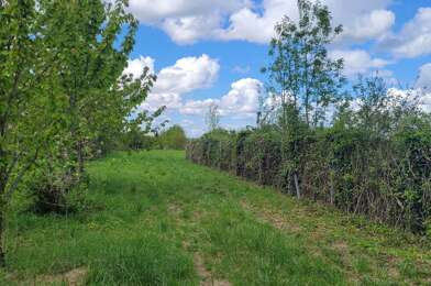 Terrain  19000 €