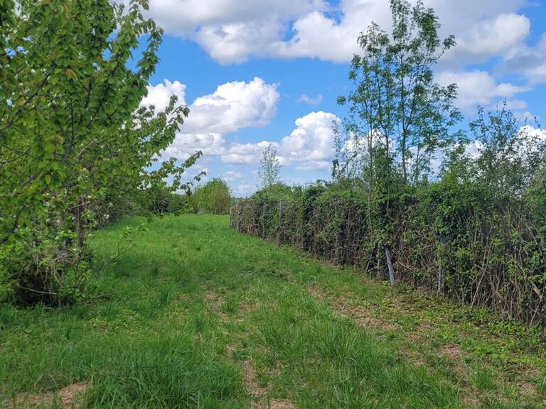 Vente Terrain à bâtir 2 072 m&sup2; — photo 1