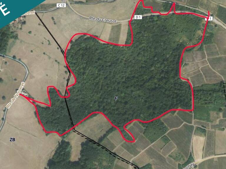 Anciennes terres viticoles 19 hectares — photo 1
