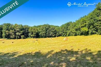 Terrain  85000 €