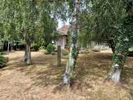 Calme et champêtre — photo 2