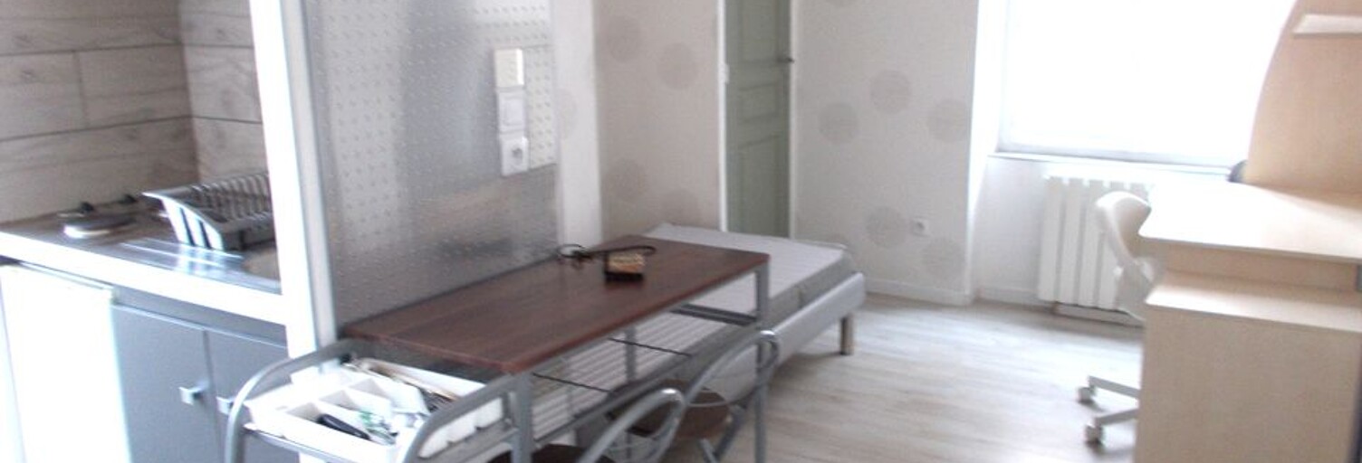 Appartement 1 Pièce 20 m² à louer à Lyon 3 (69003)