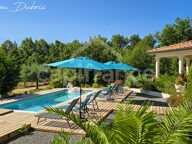 Villa d'architecte avec maison d'amis, piscine et 1,2 hectare au cœur du Périgord Vert — photo 3