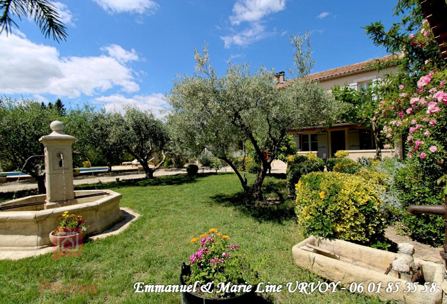 GRAVESON - Idéal PROFESSIONNEL. Maison avec HANGAR , Studio, piscine, jardin + de 2000 m² — photo 1