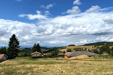Terrain  85000 €