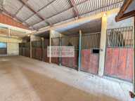 Propriété Equestre 3 habitations, écurie, 9000m2 de parcelles — photo 3