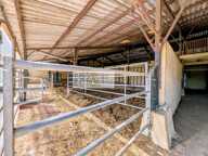 Propriété Equestre 3 habitations, écurie, 9000m2 de parcelles — photo 4