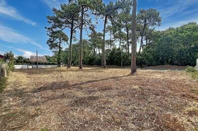 Terrain  899500 €