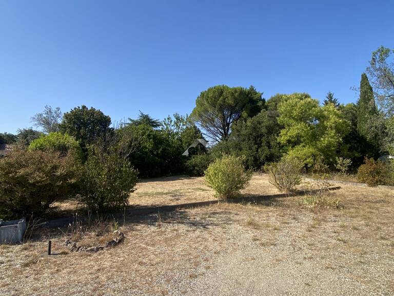Terrain — photo 1
