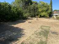 Terrain — photo 4